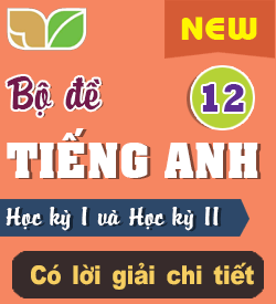 Bài Kiểm tra Giữa kỳ và Cuối kỳ I và II Tiếng Anh 12